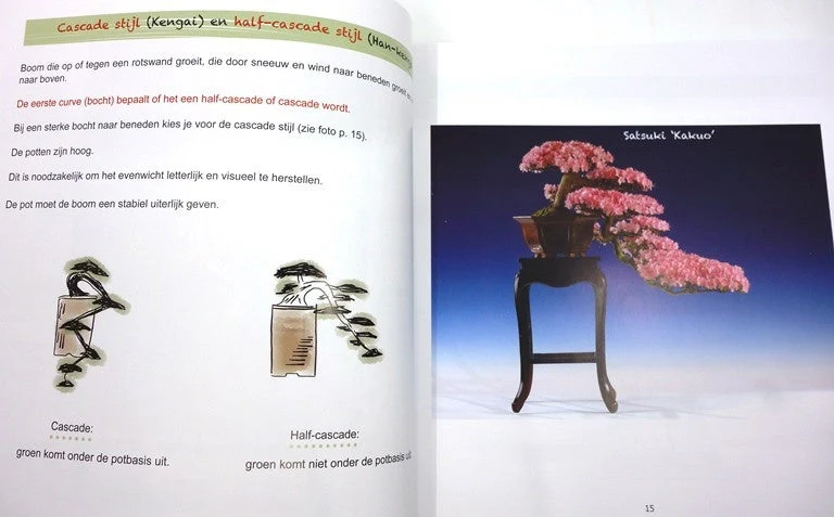 Miniatuur 2