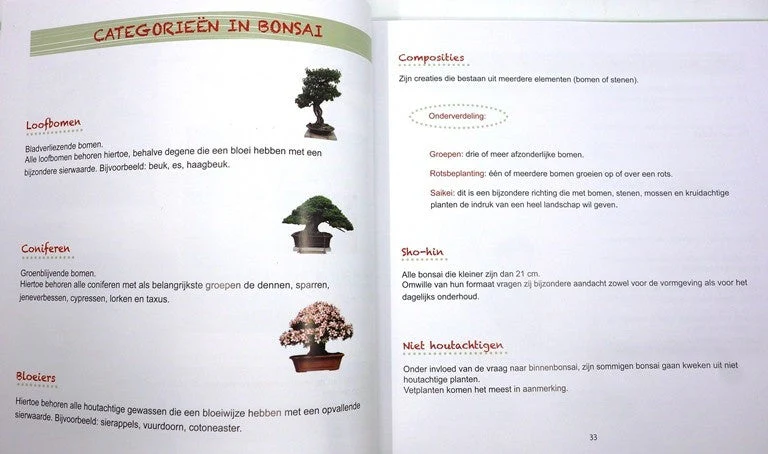 Bonsai - Meer Dan Een Boom In Een Pot, Janine Droste - Image 3