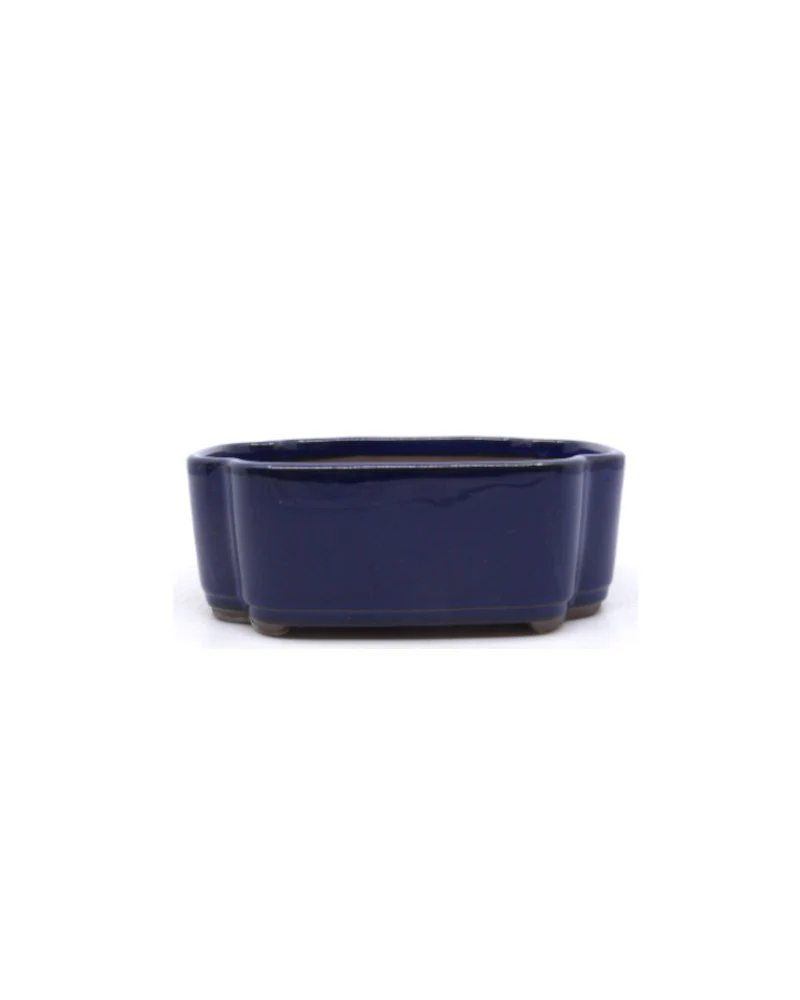 Bonsai pot blauw rechthoekige lotus vorm, 18cm