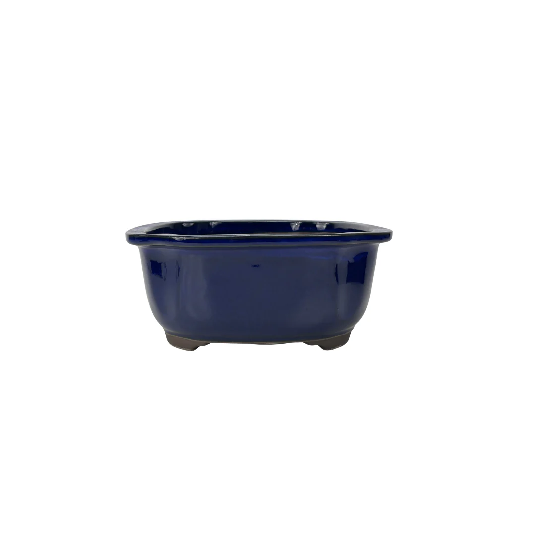 Bonsai pot blauw mokko 25cm - Image 3
