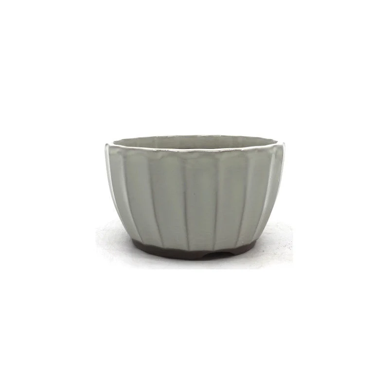 Bonsai pot crème chrysanten 12cm