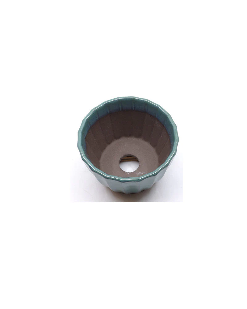 Shohin Bonsai pot groen chrysanten 10cm - Image 3