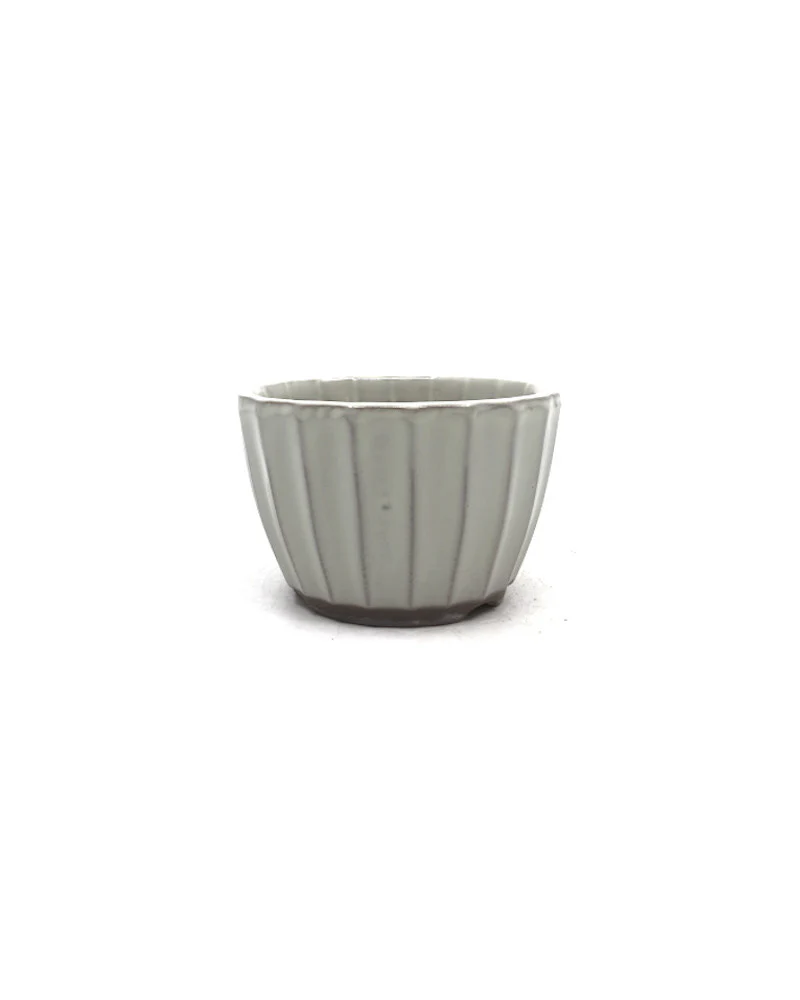 Shohin Bonsai pot wit chrysanten 10cm
