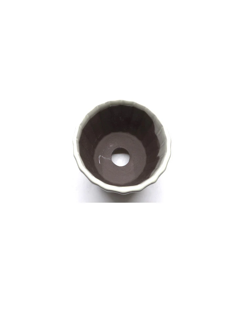 Shohin Bonsai pot wit chrysanten 10cm - Image 3