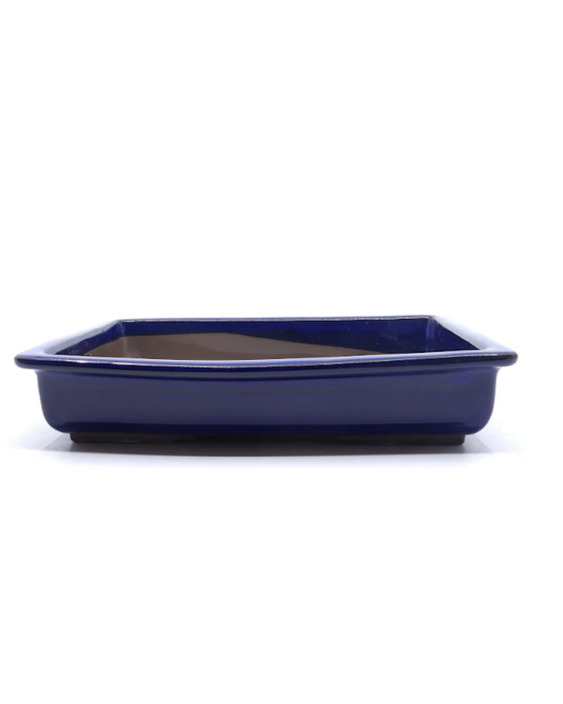 Bonsai pot blauw rechthoekig 34cm