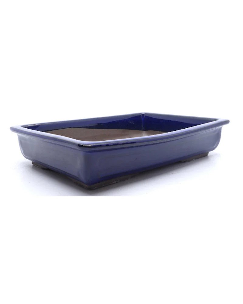 Bonsai pot blauw rechthoekig 34cm - Image 2