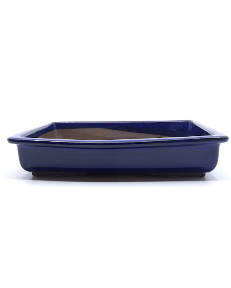 Bonsai pot blauw rechthoekig 37cm