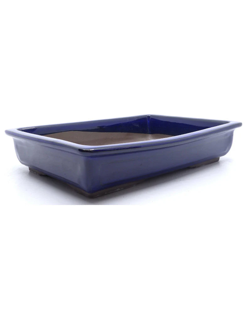 Bonsai pot blauw rechthoekig 37cm - Image 2