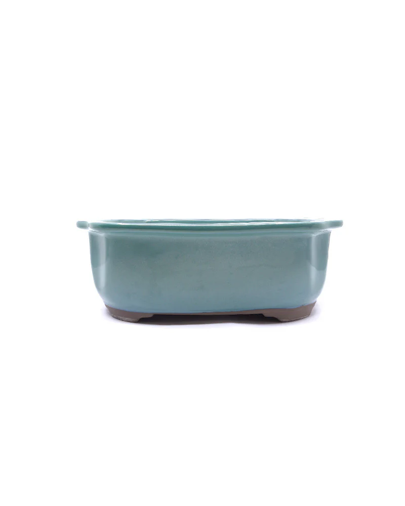 Bonsai pot groen mokko 25cm