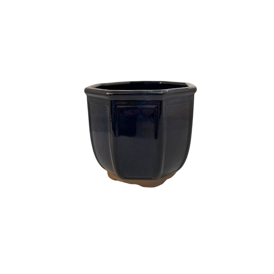 Bonsai pot achthoek cascade donkerblauw 12cm
