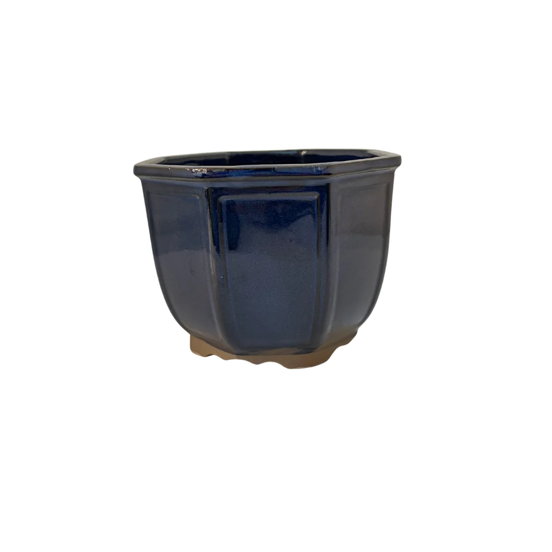 Bonsai pot achthoek cascade donkerblauw 14cm