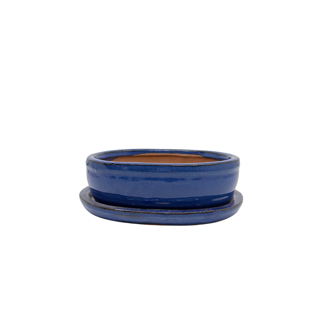 Bonsai pot blauw ovaal 16cm - set