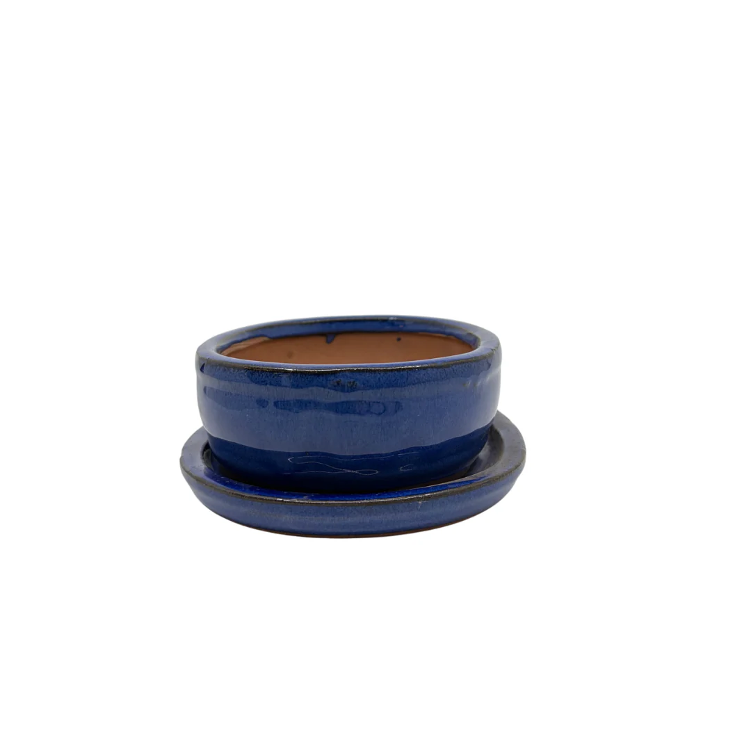 Bonsai pot blauw ovaal 16cm - set - Image 2