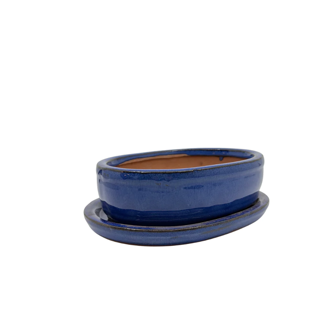 Bonsai pot blauw ovaal 16cm - set - Image 3
