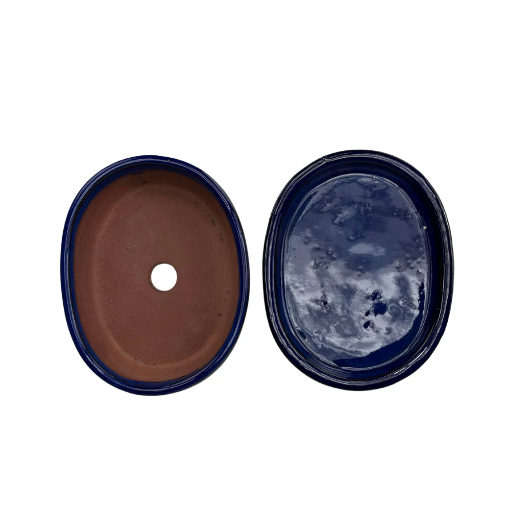 Bonsai pot blauw ovaal 16cm - set - Image 4