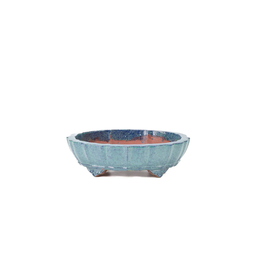 Bonsai pot blauw groen chrysant 17cm - Image 7