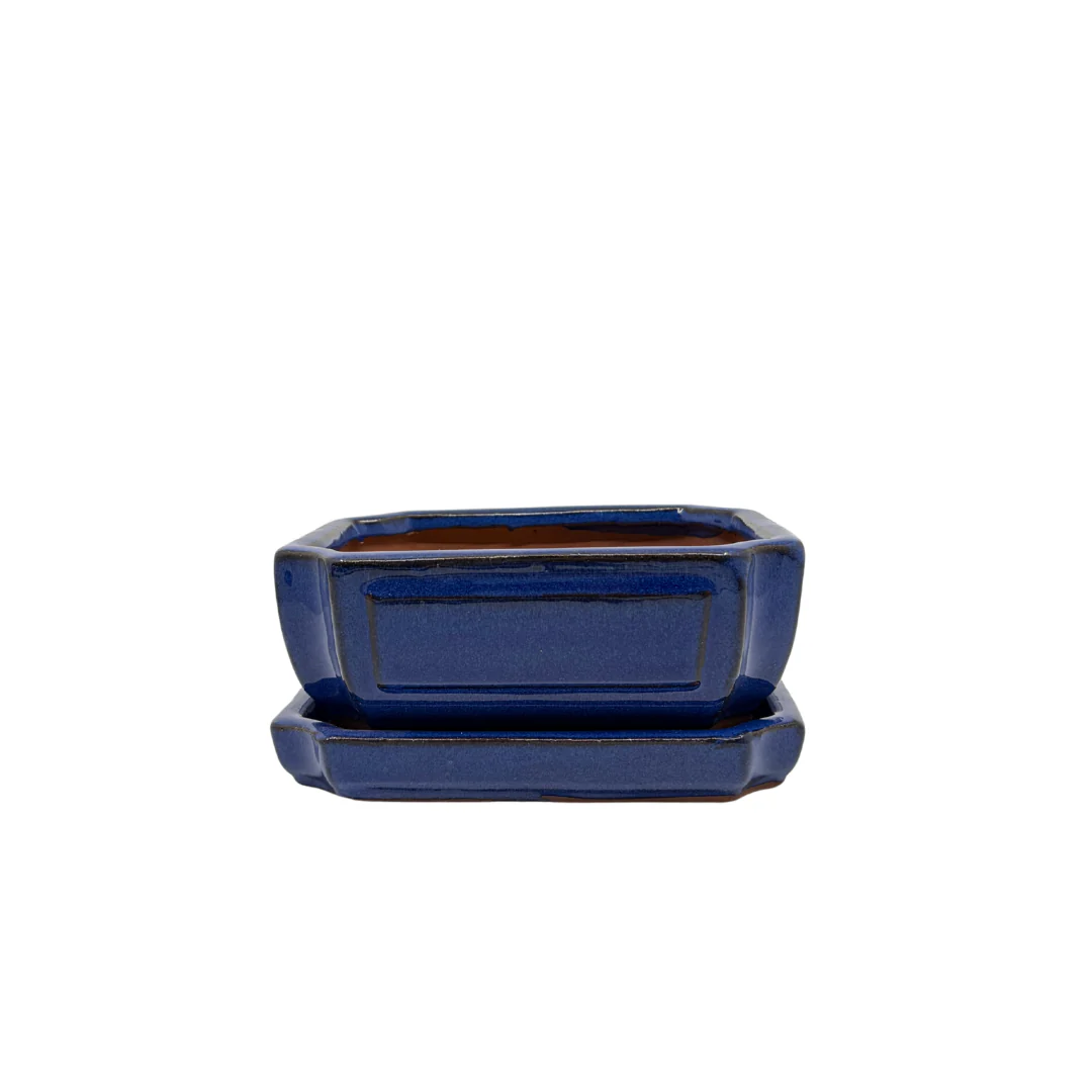 Bonsai pot blauw rechthoek 15cm - set