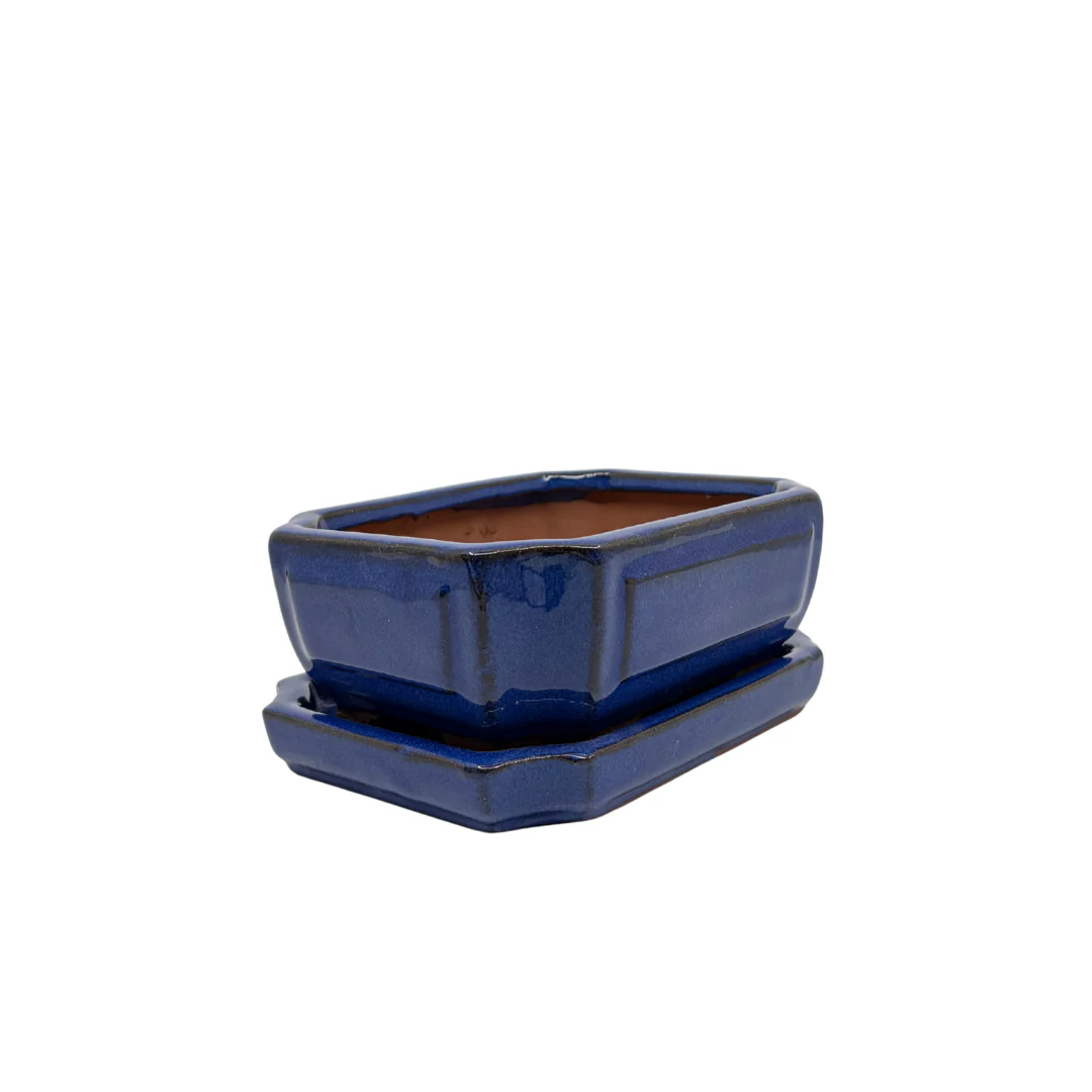 Bonsai pot blauw rechthoek 15cm - set - Image 2