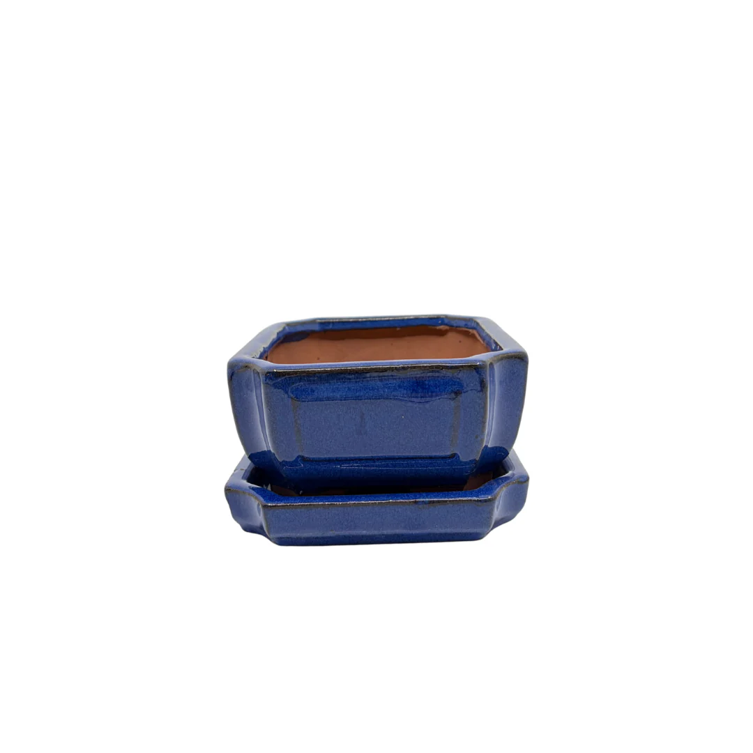 Bonsai pot blauw rechthoek 15cm - set - Image 3