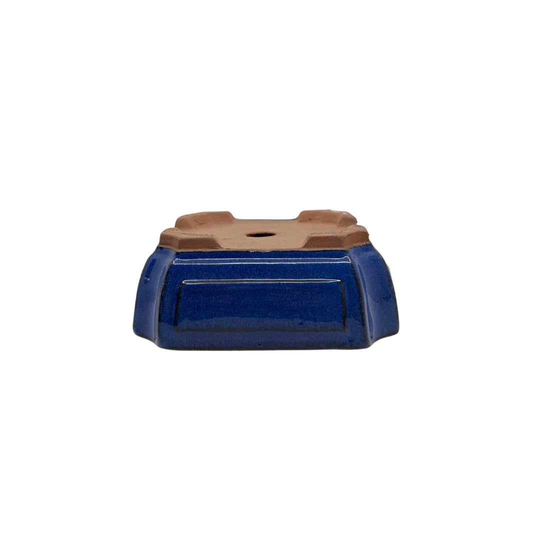 Bonsai pot blauw rechthoek 15cm - set - Image 4
