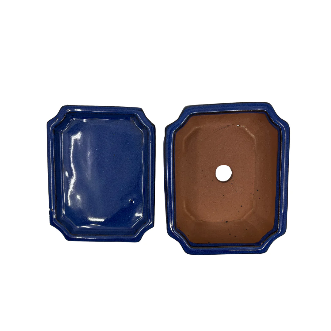 Bonsai pot blauw rechthoek 15cm - set - Image 5