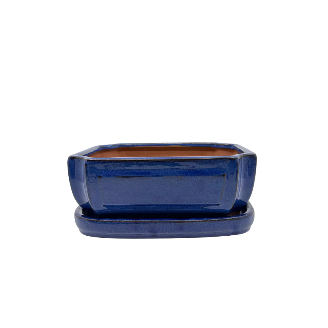 Bonsai pot blauw rechthoek 20cm - set