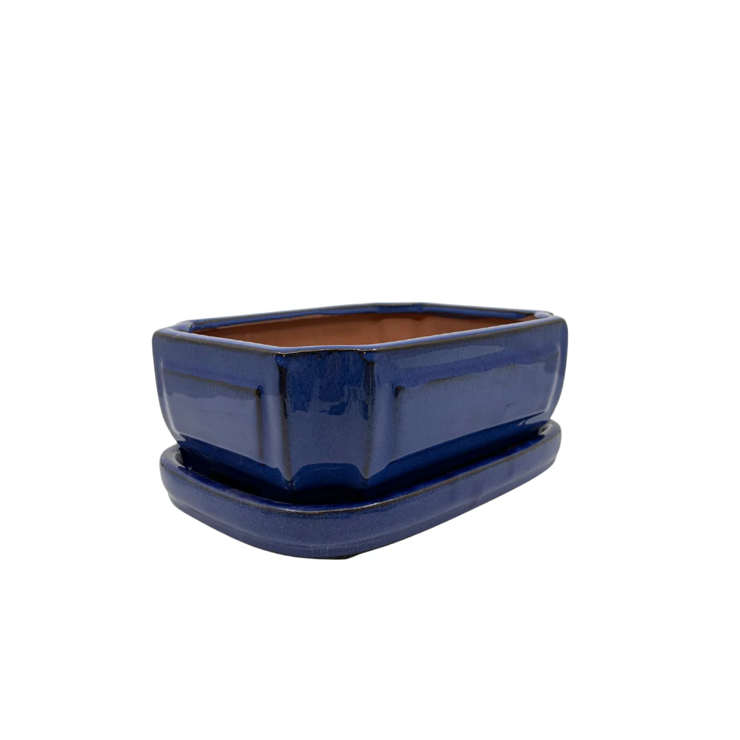 Bonsai pot blauw rechthoek 20cm - set - Image 2