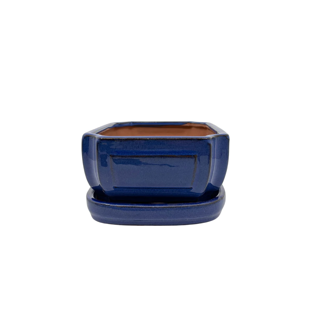 Bonsai pot blauw rechthoek 20cm - set - Image 3