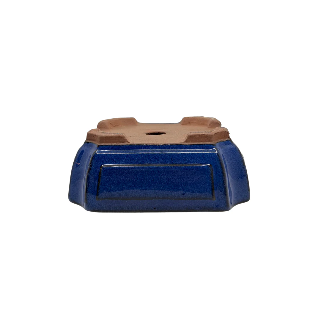 Bonsai pot blauw rechthoek 20cm - set - Image 4
