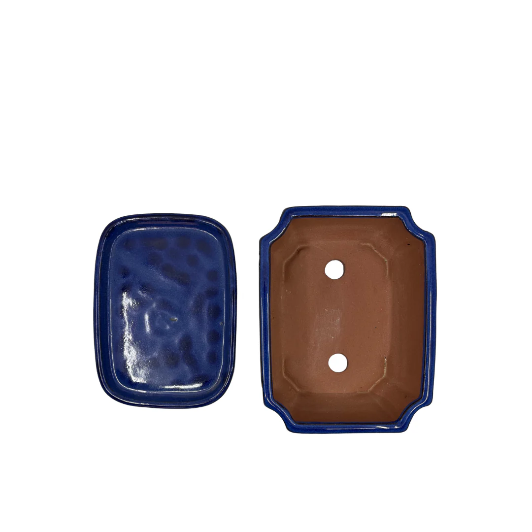 Bonsai pot blauw rechthoek 20cm - set - Image 5