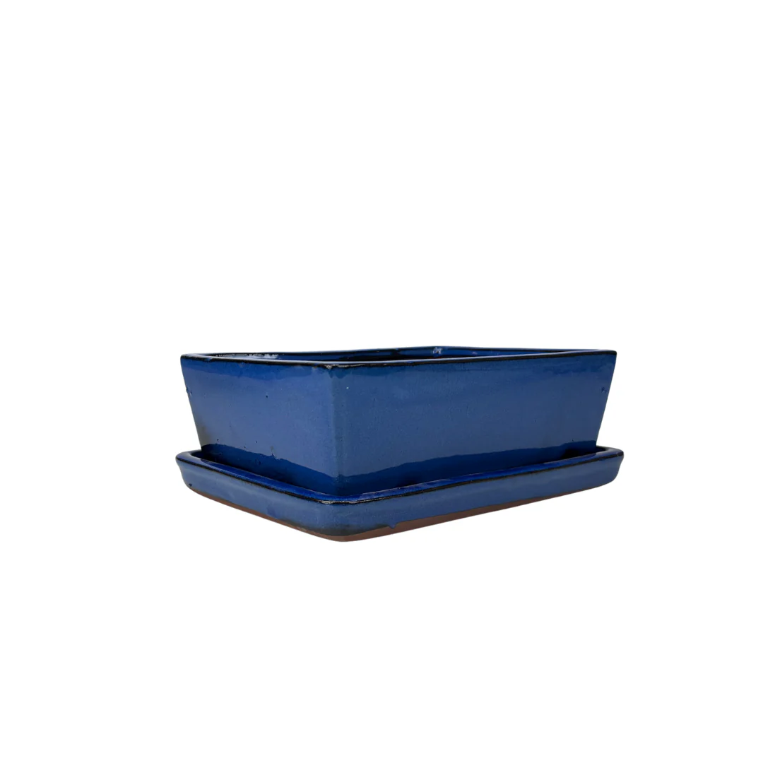 Bonsai pot blauw rechthoek 24cm - set - Image 2