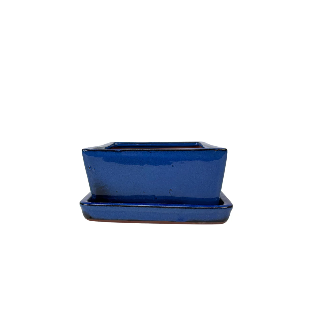 Bonsai pot blauw rechthoek 24cm - set - Image 3