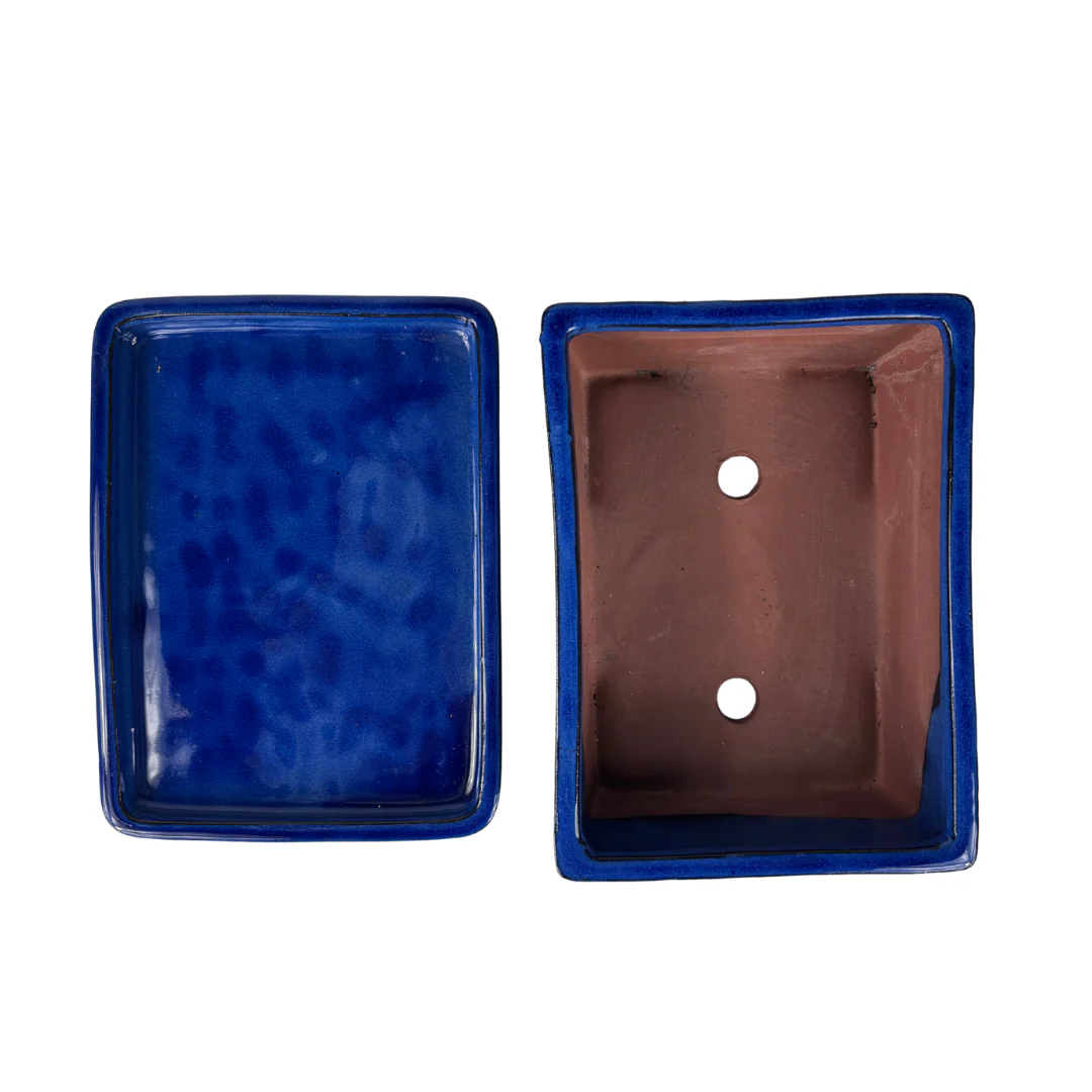 Bonsai pot blauw rechthoek 24cm - set - Image 5