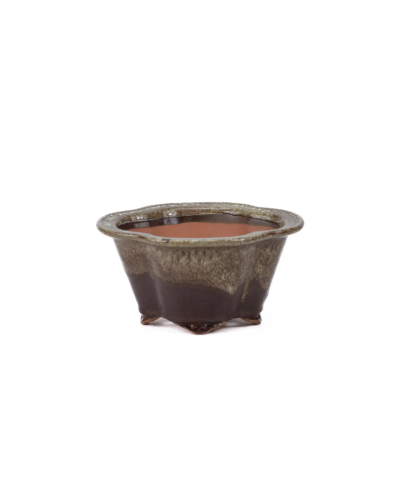 Bonsai pot chrysanten bruin beige 15.5cm