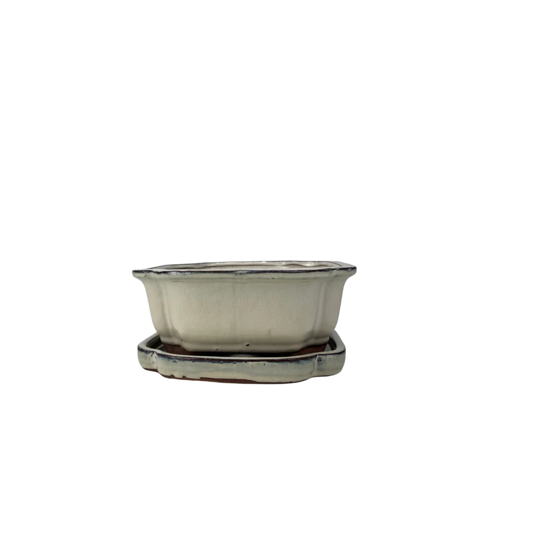 Bonsai pot creme mokko 16cm - set - Image 3