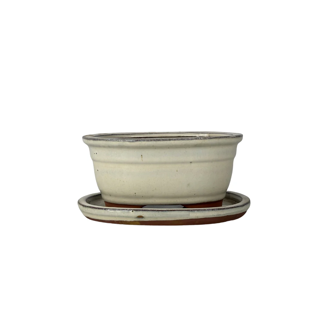 Bonsai pot creme ovaal, met rand, 16cm - set