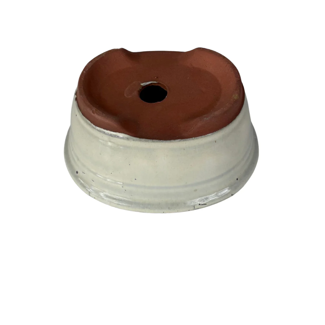 Bonsai pot creme ovaal, met rand, 16cm - set - Image 4