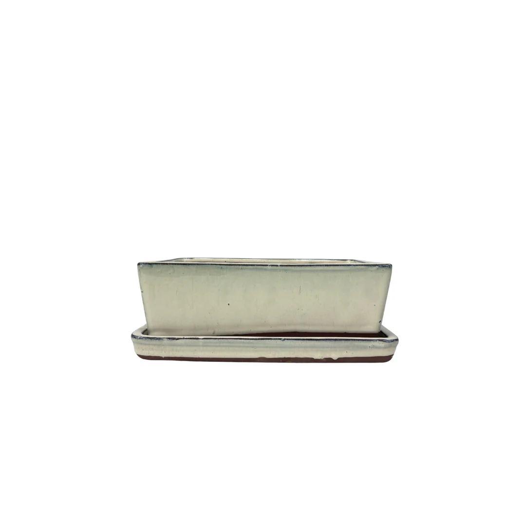 Bonsai pot creme rechthoek 15cm - set