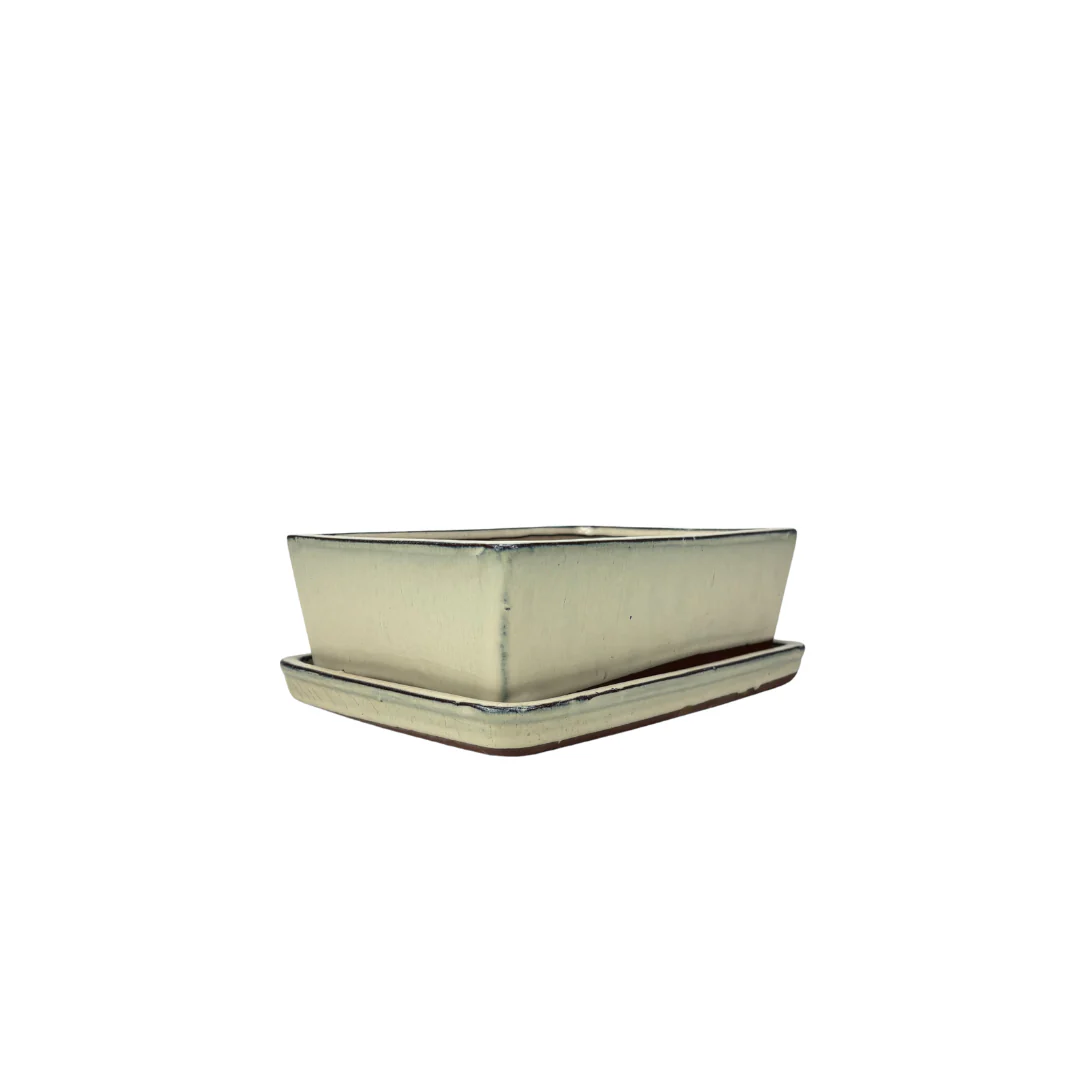 Bonsai pot creme rechthoek 15cm - set - Image 2