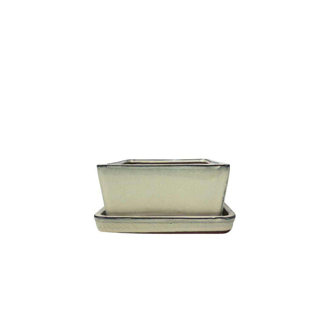Bonsai pot creme rechthoek 15cm - set - Image 3