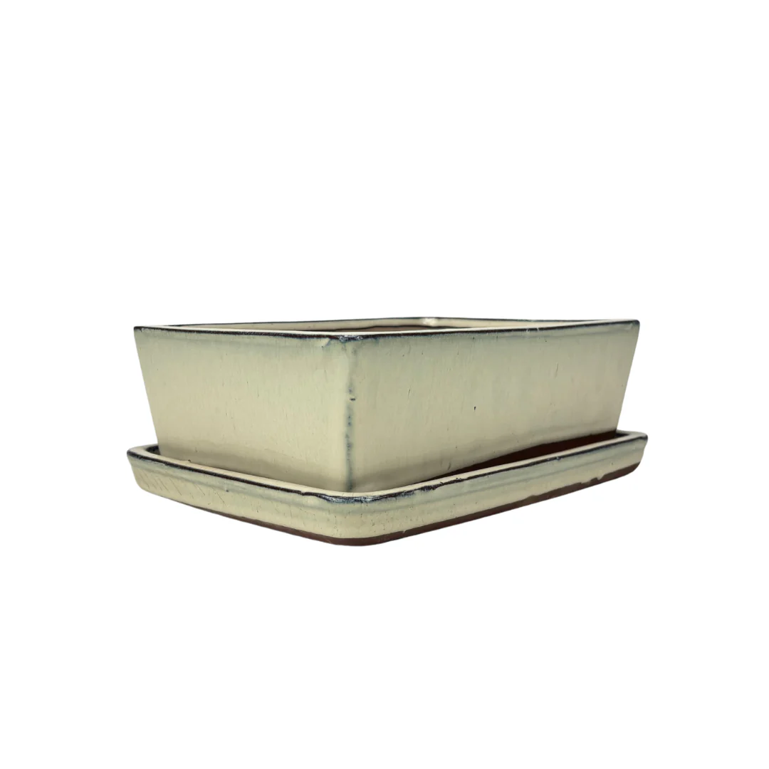 Bonsai pot creme rechthoek 25cm - set - Image 2
