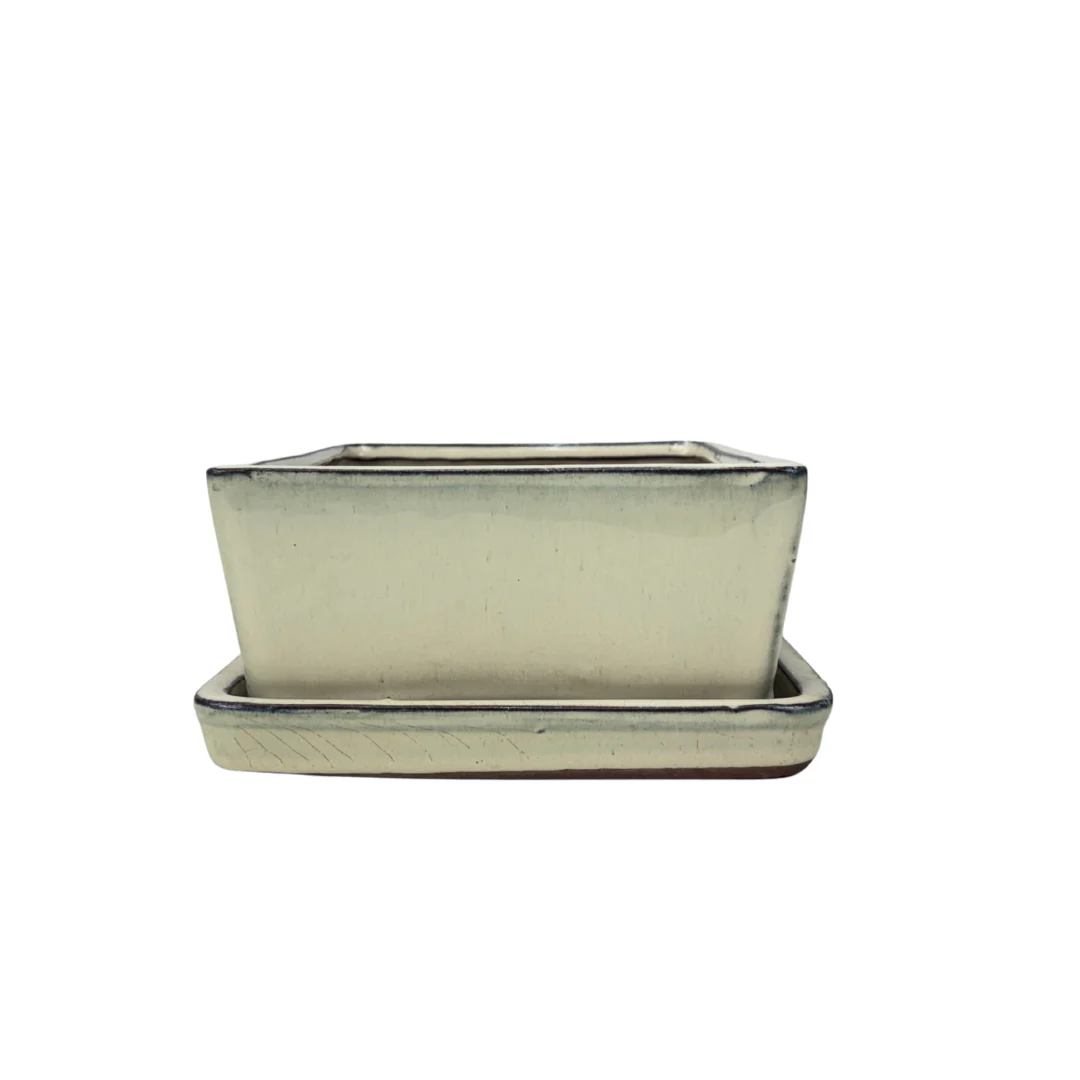 Bonsai pot creme rechthoek 25cm - set - Image 3