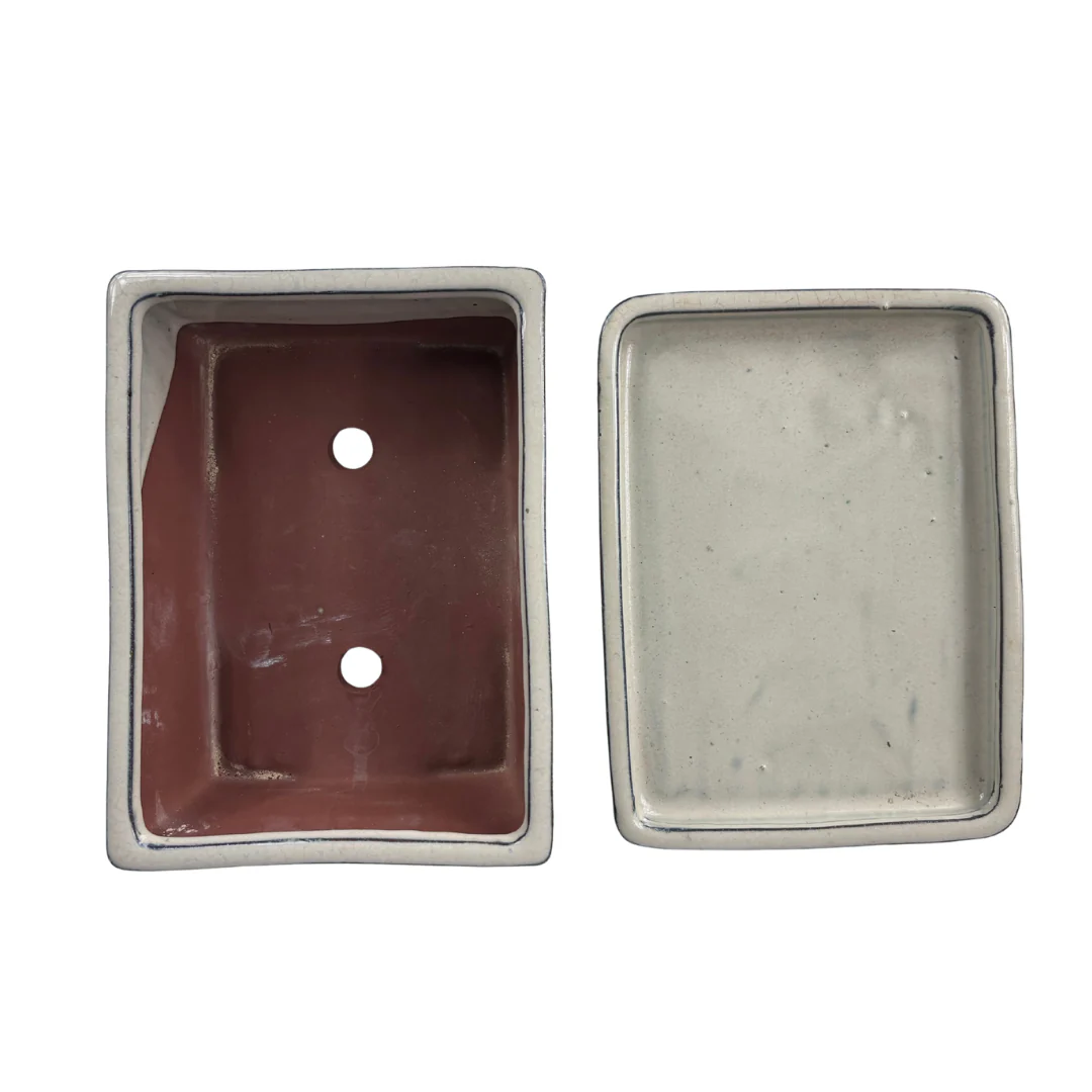 Bonsai pot creme rechthoek 25cm - set - Image 5