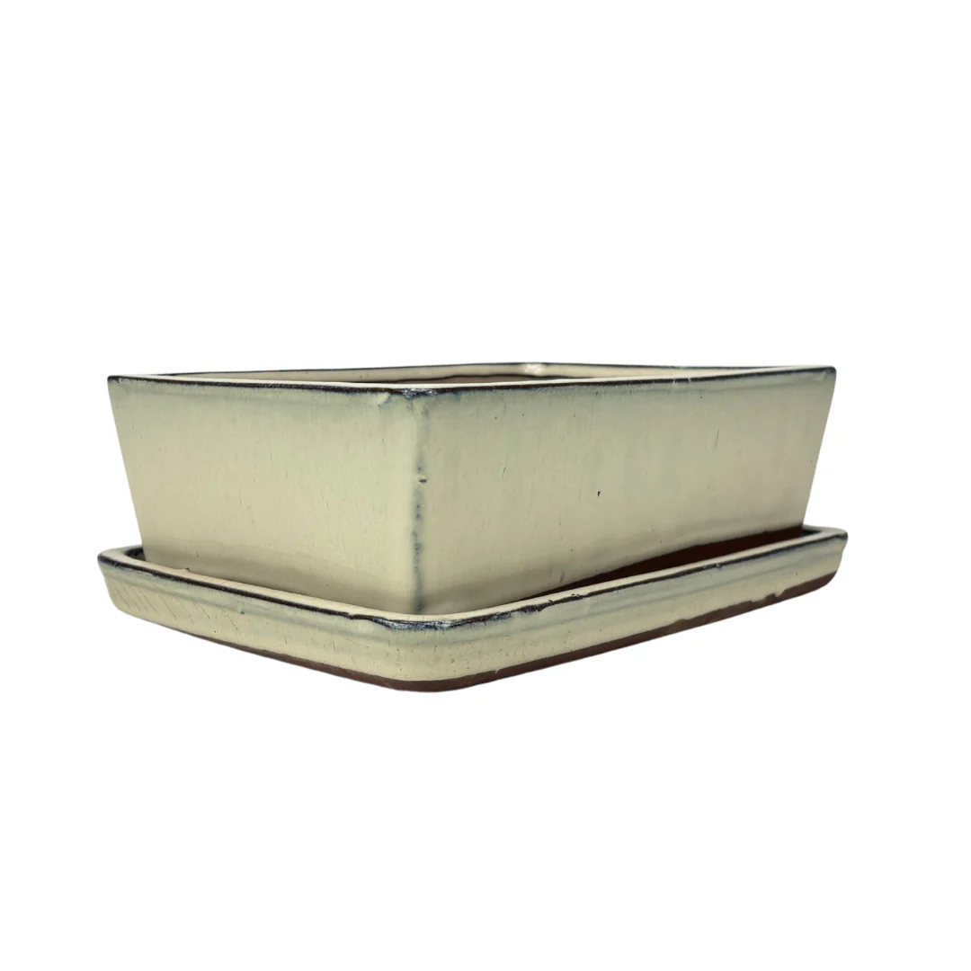 Bonsai pot creme rechthoek 30cm - set - Image 2