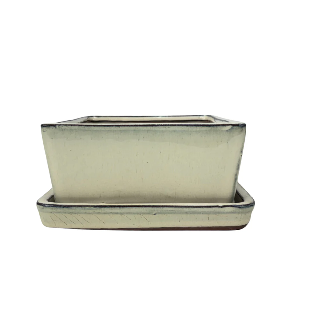 Bonsai pot creme rechthoek 30cm - set - Image 3