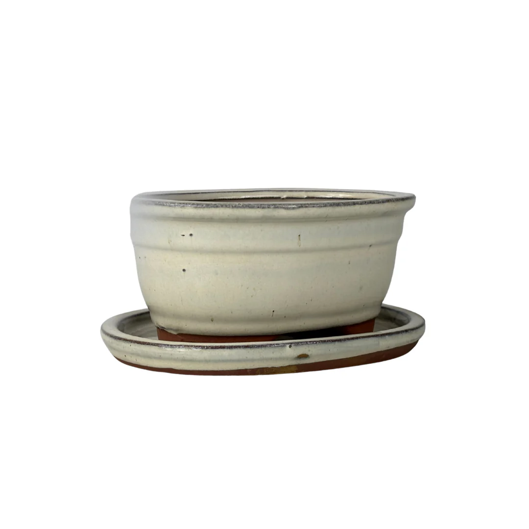 Bonsai pot creme ovaal 31cm - set - Image 2