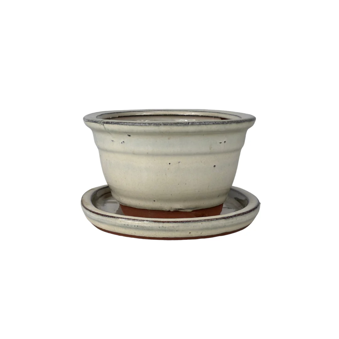 Bonsai pot creme ovaal 31cm - set - Image 3