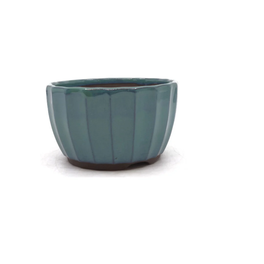 Bonsai pot groen chrysanten 15cm