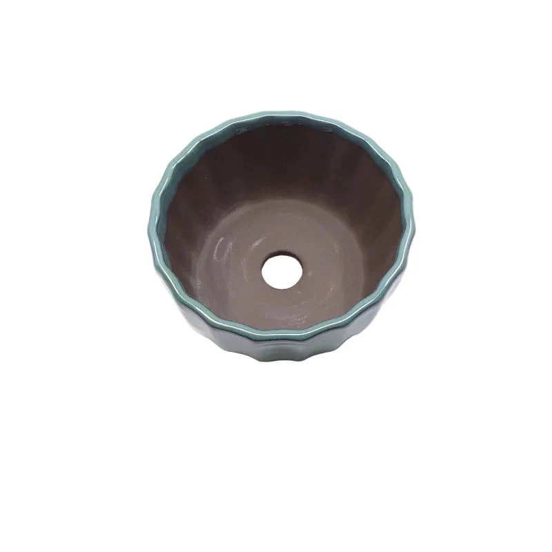 Bonsai pot groen chrysanten 15cm - Image 3