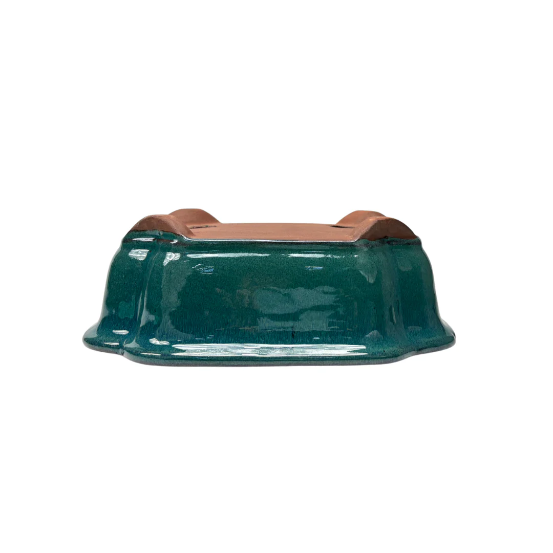 Bonsai pot groen mokko 32cm - set - Image 4
